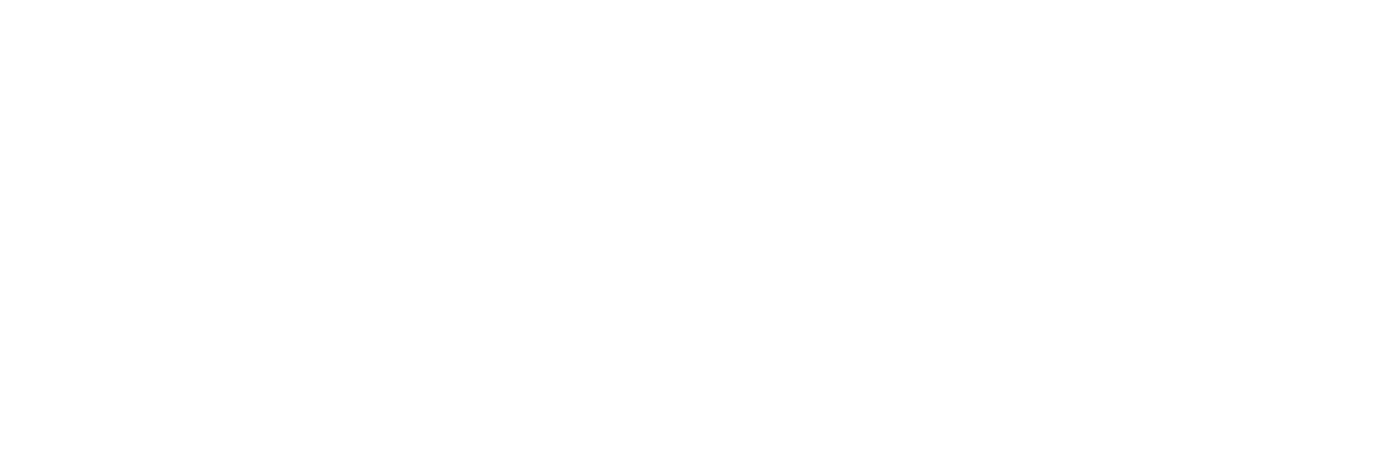 WayFinder logo white